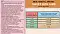 Zilli сухой корм для взрослых собак всех пород Индейка с Ягнёнком #3